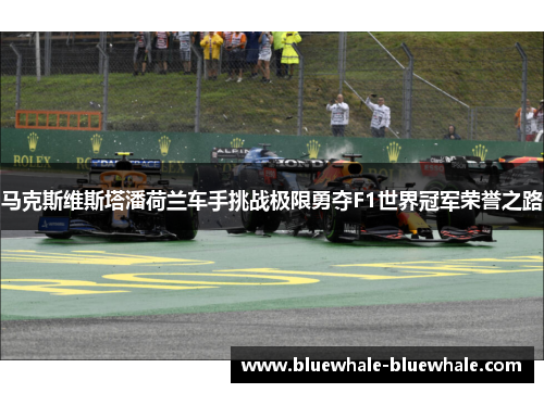 马克斯维斯塔潘荷兰车手挑战极限勇夺F1世界冠军荣誉之路