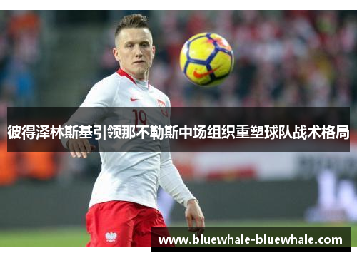彼得泽林斯基引领那不勒斯中场组织重塑球队战术格局