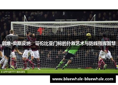 戴维·奥斯皮纳：哥伦比亚门将的扑救艺术与防线指挥智慧