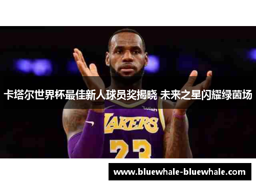 卡塔尔世界杯最佳新人球员奖揭晓 未来之星闪耀绿茵场