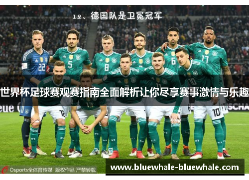 世界杯足球赛观赛指南全面解析让你尽享赛事激情与乐趣