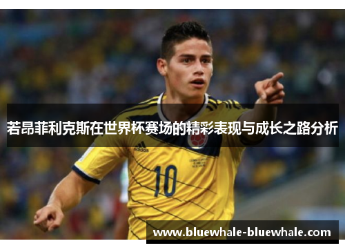 若昂菲利克斯在世界杯赛场的精彩表现与成长之路分析
