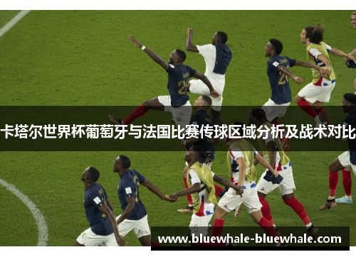 卡塔尔世界杯葡萄牙与法国比赛传球区域分析及战术对比