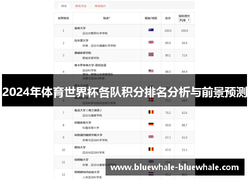 2024年体育世界杯各队积分排名分析与前景预测