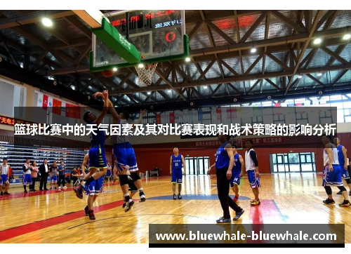 篮球比赛中的天气因素及其对比赛表现和战术策略的影响分析