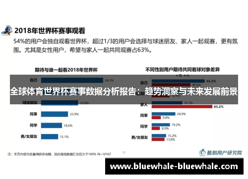 全球体育世界杯赛事数据分析报告：趋势洞察与未来发展前景
