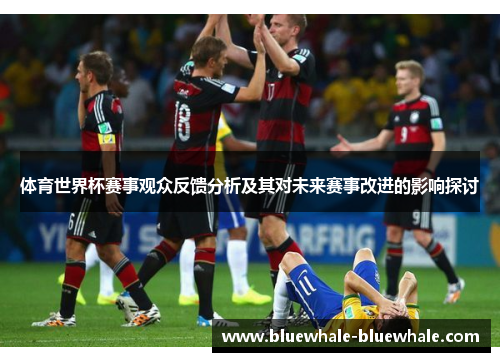 体育世界杯赛事观众反馈分析及其对未来赛事改进的影响探讨