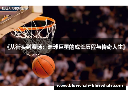 《从街头到赛场：篮球巨星的成长历程与传奇人生》