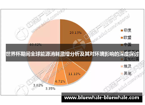世界杯期间全球能源消耗激增分析及其对环境影响的深度探讨
