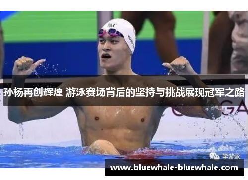 孙杨再创辉煌 游泳赛场背后的坚持与挑战展现冠军之路
