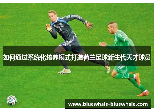 如何通过系统化培养模式打造荷兰足球新生代天才球员