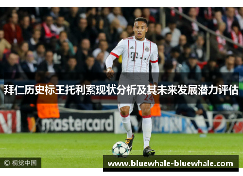 拜仁历史标王托利索现状分析及其未来发展潜力评估