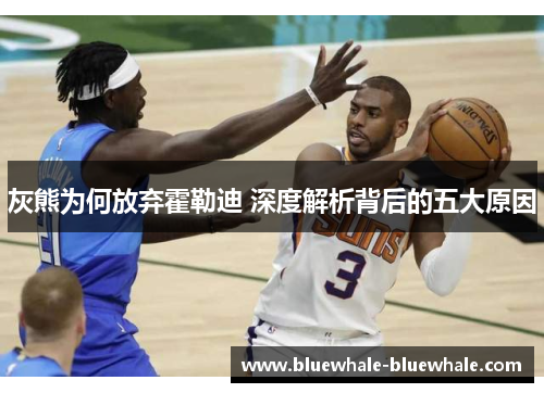 灰熊为何放弃霍勒迪 深度解析背后的五大原因
