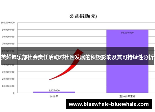 英超俱乐部社会责任活动对社区发展的积极影响及其可持续性分析