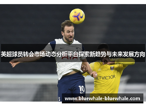 英超球员转会市场动态分析平台探索新趋势与未来发展方向