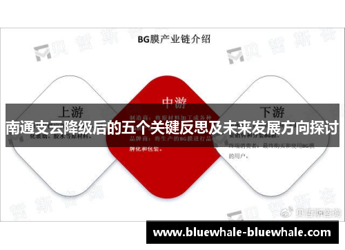 南通支云降级后的五个关键反思及未来发展方向探讨