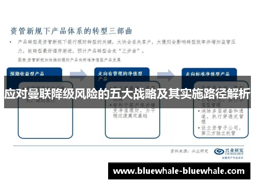应对曼联降级风险的五大战略及其实施路径解析