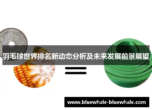 羽毛球世界排名新动态分析及未来发展前景展望