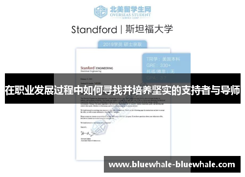 在职业发展过程中如何寻找并培养坚实的支持者与导师