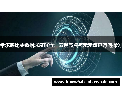 希尔德比赛数据深度解析：表现亮点与未来改进方向探讨