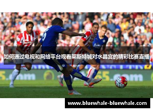 如何通过电视和网络平台观看莱斯特城对水晶宫的精彩比赛直播