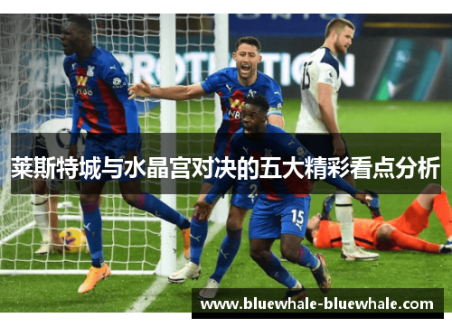 莱斯特城与水晶宫对决的五大精彩看点分析