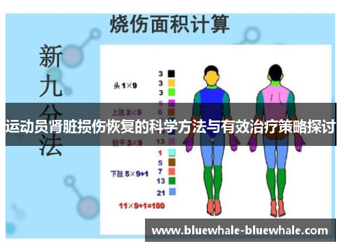 运动员肾脏损伤恢复的科学方法与有效治疗策略探讨