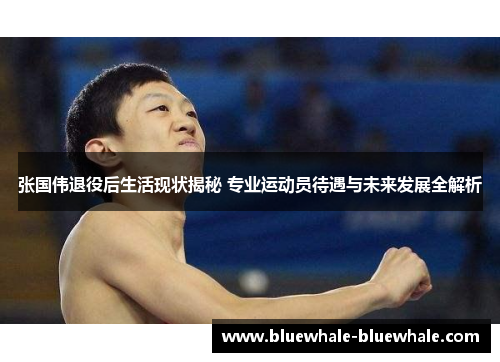 张国伟退役后生活现状揭秘 专业运动员待遇与未来发展全解析