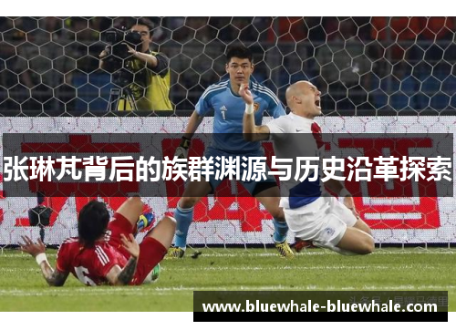 张琳芃背后的族群渊源与历史沿革探索