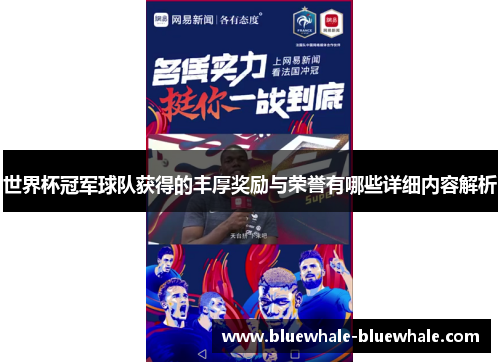世界杯冠军球队获得的丰厚奖励与荣誉有哪些详细内容解析