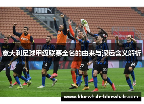 意大利足球甲级联赛全名的由来与深远含义解析